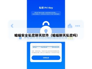 蝙蝠安全私密聊天软件（蝙蝠聊天私密吗）