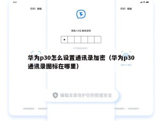 华为p30怎么设置通讯录加密（华为p30通讯录图标在哪里）
