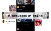 萝卜密聊用id有风险吗（萝卜密怎么开启）