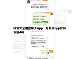 鲸宝安全加密聊天App（鲸鱼宝app官网下载46）