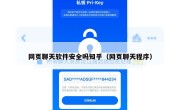 网页聊天软件安全吗知乎（网页聊天程序）