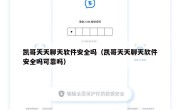 凯哥天天聊天软件安全吗（凯哥天天聊天软件安全吗可靠吗）