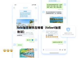 tele加密聊天在哪看（telnet加密协议）