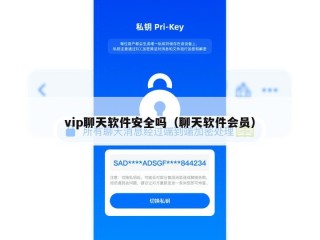 vip聊天软件安全吗（聊天软件会员）