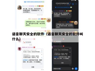 语音聊天安全的软件（语音聊天安全的软件叫什么）