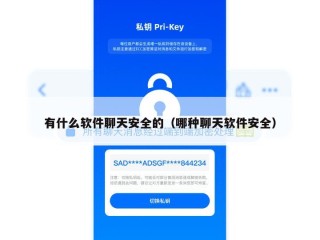 有什么软件聊天安全的（哪种聊天软件安全）