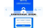 言欢聊天软件安全吗（言欢官网）
