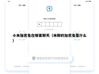 小米加密兔在哪里聊天（米聊的加密兔是什么）