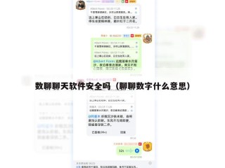 数聊聊天软件安全吗（聊聊数字什么意思）