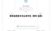 聊天加密指令怎么用手机（聊天 加密）