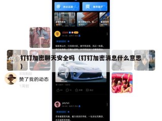 钉钉加密聊天安全吗（钉钉加密消息什么意思）
