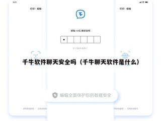 千牛软件聊天安全吗（千牛聊天软件是什么）