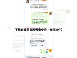 下载奔现语音聊天安全吗（奔现软件）