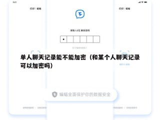 单人聊天记录能不能加密（和某个人聊天记录可以加密吗）