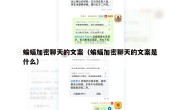 蝙蝠加密聊天的文案（蝙蝠加密聊天的文案是什么）