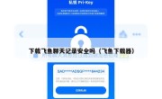 下载飞鱼聊天记录安全吗（飞鱼下载器）