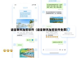 语音聊天加密软件（语音聊天加密软件免费）