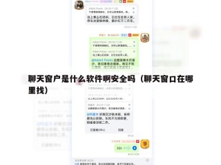 聊天窗户是什么软件啊安全吗（聊天窗口在哪里找）