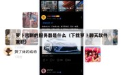 萝卜密聊的服务器是什么（下载萝卜聊天软件兼职）