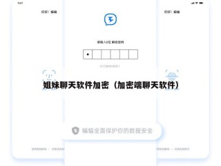 姐妹聊天软件加密（加密端聊天软件）