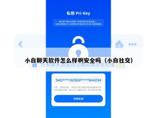 小白聊天软件怎么样啊安全吗（小白社交）