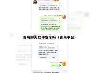青鸟聊天软件安全吗（青鸟平台）