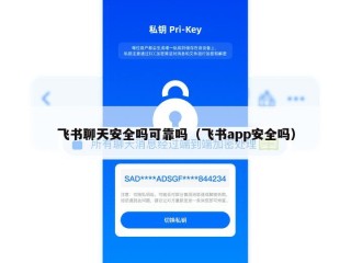 飞书聊天安全吗可靠吗（飞书app安全吗）