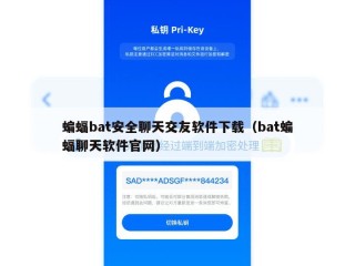 蝙蝠bat安全聊天交友软件下载（bat蝙蝠聊天软件官网）