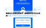 蝙蝠怎么设置加密聊天（蝙蝠聊天软件怎么隐身）