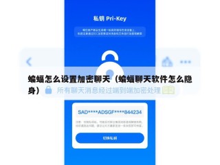 蝙蝠怎么设置加密聊天（蝙蝠聊天软件怎么隐身）