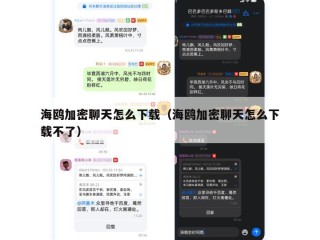 海鸥加密聊天怎么下载（海鸥加密聊天怎么下载不了）