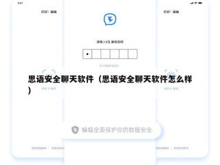 思语安全聊天软件（思语安全聊天软件怎么样）