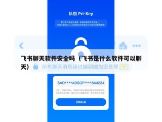 飞书聊天软件安全吗（飞书是什么软件可以聊天）