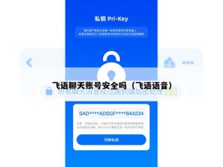 飞语聊天账号安全吗（飞语语音）
