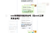 soul的聊天功能安全吗（在soul上聊天安全吗）