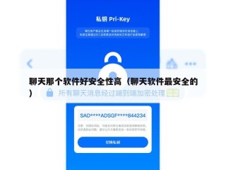聊天那个软件好安全性高（聊天软件最安全的）