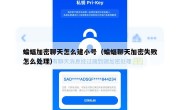 蝙蝠加密聊天怎么建小号（蝙蝠聊天加密失败怎么处理）