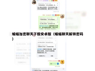 蝙蝠加密聊天下载安卓版（蝙蝠聊天解锁密码）
