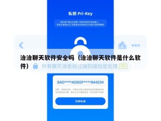洽洽聊天软件安全吗（洽洽聊天软件是什么软件）
