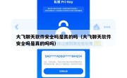 大飞聊天软件安全吗是真的吗（大飞聊天软件安全吗是真的吗吗）