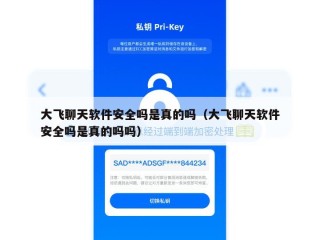 大飞聊天软件安全吗是真的吗（大飞聊天软件安全吗是真的吗吗）