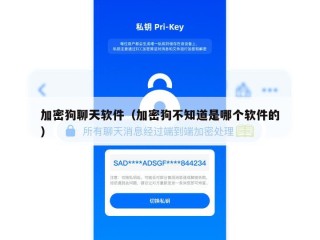 加密狗聊天软件（加密狗不知道是哪个软件的）