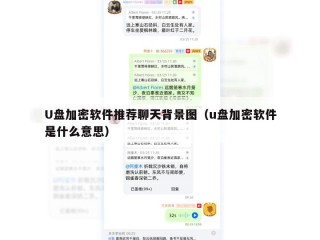 U盘加密软件推荐聊天背景图（u盘加密软件是什么意思）