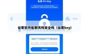 谷歌软件能聊天吗安全吗（谷歌key）