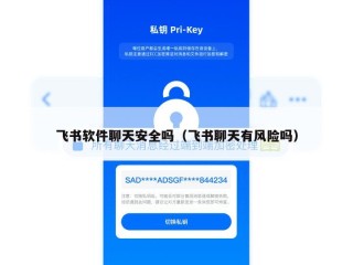 飞书软件聊天安全吗（飞书聊天有风险吗）