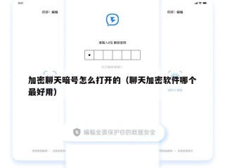 加密聊天暗号怎么打开的（聊天加密软件哪个最好用）