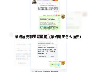蝙蝠加密聊天发数据（蝙蝠聊天怎么加密）