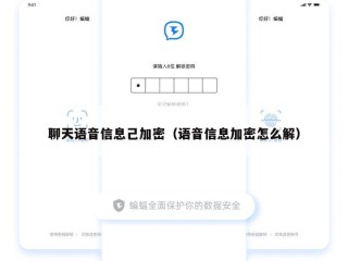 聊天语音信息己加密（语音信息加密怎么解）