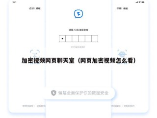 加密视频网页聊天室（网页加密视频怎么看）