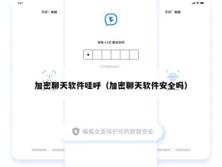 加密聊天软件哇呼（加密聊天软件安全吗）